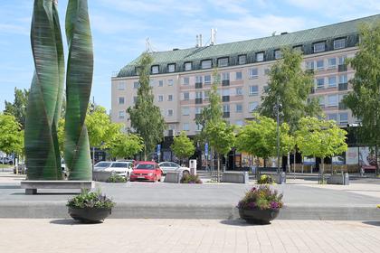 Bild av närområdet
