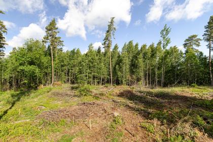 Adress saknas, Tallboda