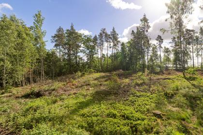 Adress saknas, Tallboda
