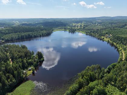 Bild av närområdet