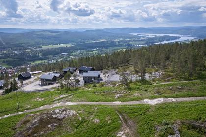 Bild av närområdet