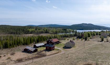 Bild av närområdet