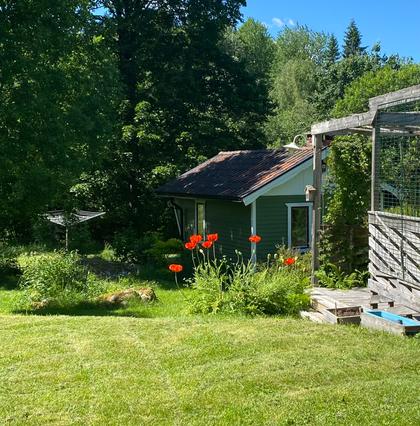 Bild av närområdet