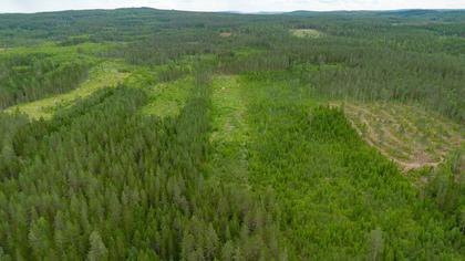 Illustrerad karta över fastigheten eller området