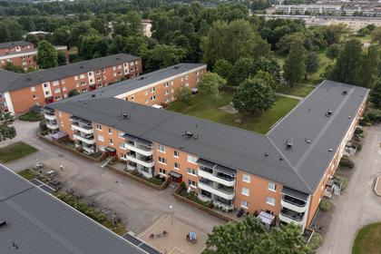Bild av närområdet