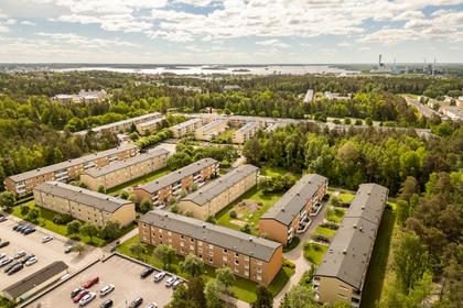 Bild av närområdet
