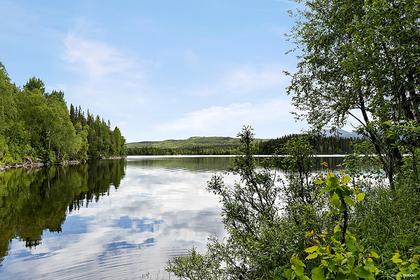 Bild av närområdet