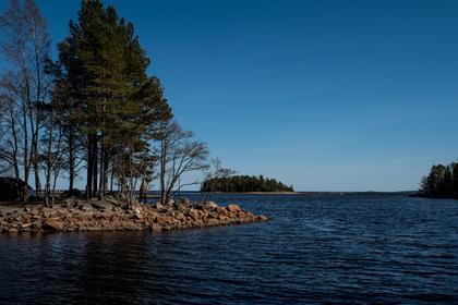 Bild av närområdet