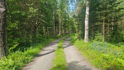 Bild av närområdet