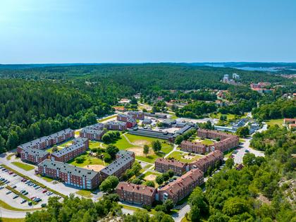 Bild av närområdet