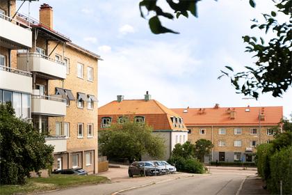 Bild av närområdet