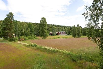 Bild av närområdet