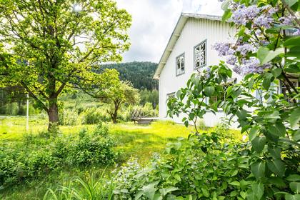 Exteriörbild