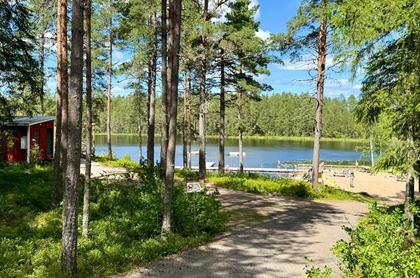 Bild av närområdet