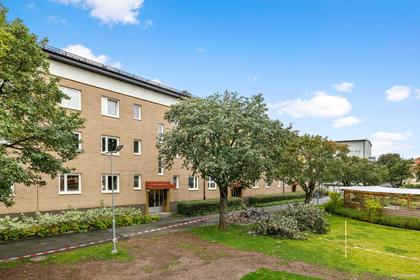 Bild av närområdet