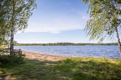 Bild av närområdet