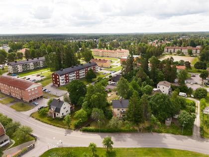 Bild av närområdet