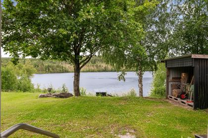 Bild av närområdet