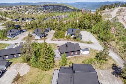 Bild av närområdet
