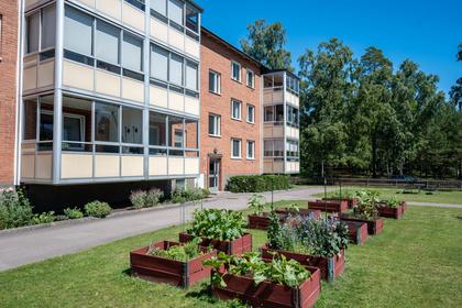 Exteriörbild