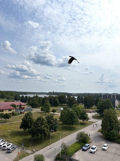 Bild av närområdet