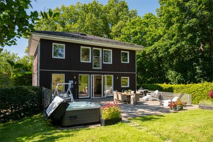 Bild av närområdet
