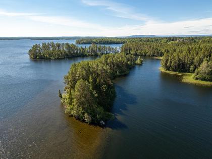 Bild av närområdet