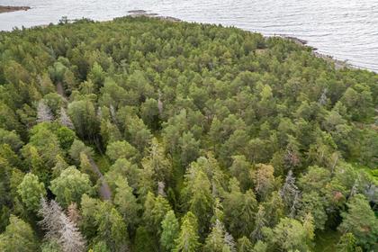 Skatuddsvägen 126, Grisslehamn