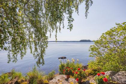 Bild av närområdet