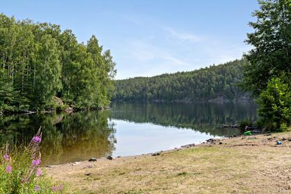 Bild av närområdet