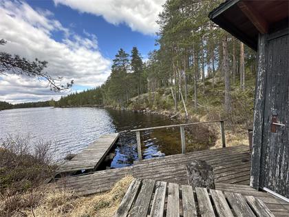 Mon Krokvattnet 1O, Blomskog