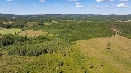Lernäs Nedstuga 1, Åmotfors