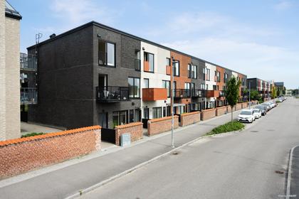 Bild av närområdet
