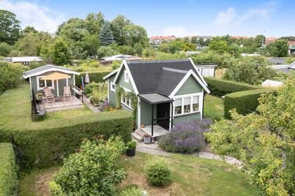 Rosengången - Östra Sommarstaden, Östra Sommarstadens Koloniförening