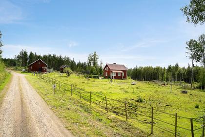 Bild av närområdet