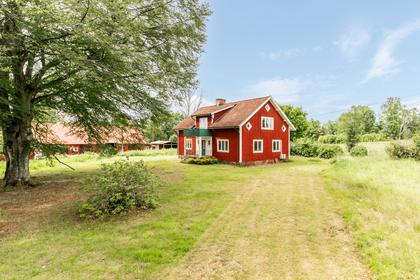Bild av närområdet