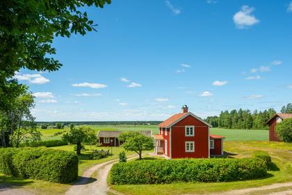 Bild av närområdet