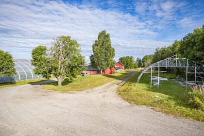 Bild av närområdet