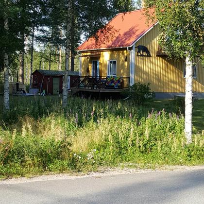 Bild av närområdet