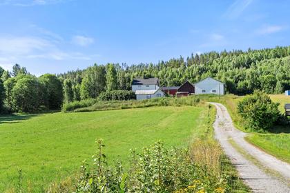 Bild av närområdet