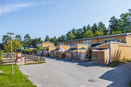 Bild av närområdet