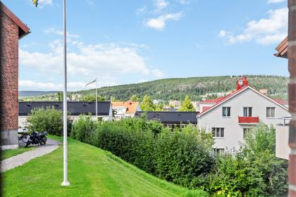 Bild av närområdet