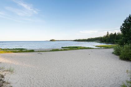 Bild av närområdet