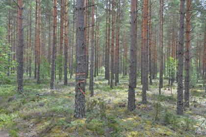 Adress saknas, Hultsfred