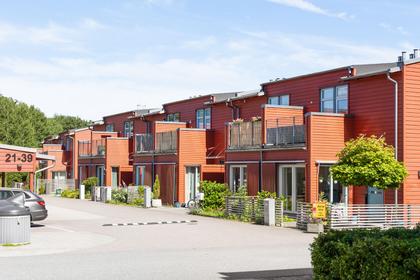 Bild av närområdet