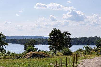 Bild av närområdet