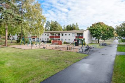 Bild av närområdet