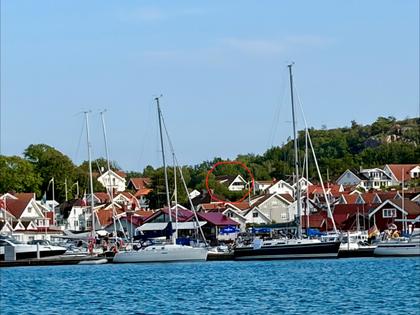 Bild av närområdet