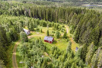 Ulvsjön 19, Torsby