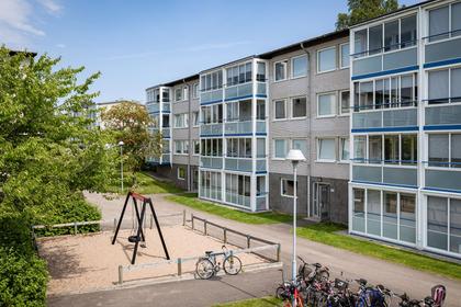 Bild av närområdet